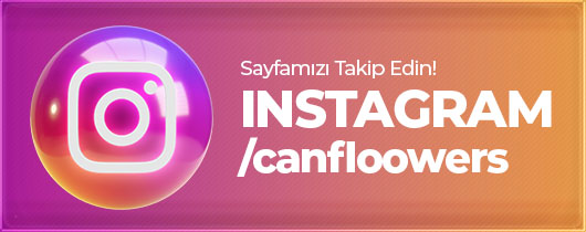 Instagram'dan Takip Edin